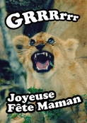 Lionceau qui crie pour ma maman ch&eacute;rie